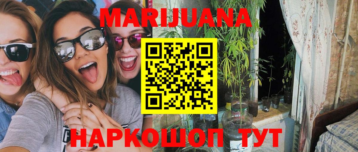 Конопля Bruce Banner Кунгур
